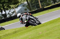 Advanced Group Silver_Grey Bikes